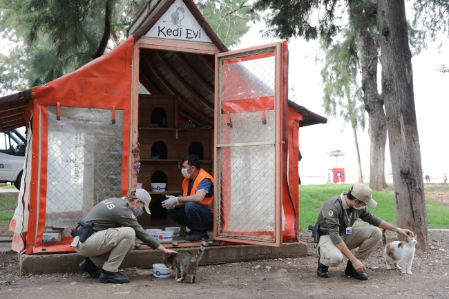 Kısıtlama günlerinde sokak hayvanlarını unutmadılar