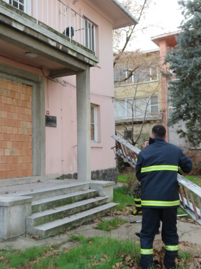 Köpeğin yardımına itfaiye ekipleri yetişti