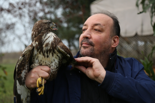 Yaralı halde bulunan 2 şahin koruma altına alındı