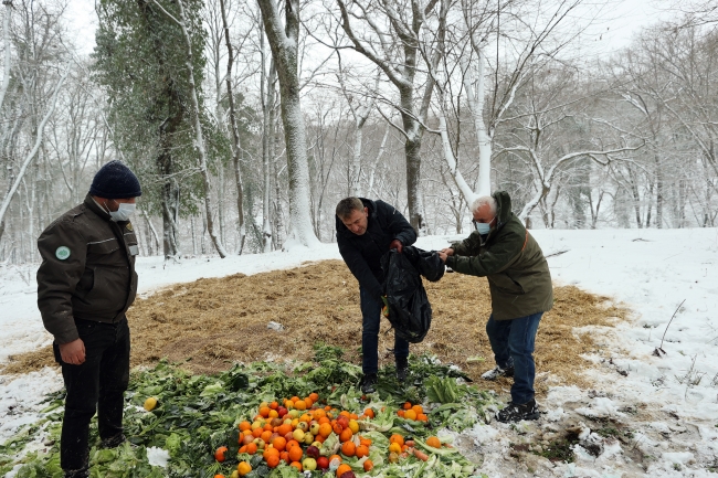 İstanbul'da yaban hayvanları için doğaya yem bırakıldı