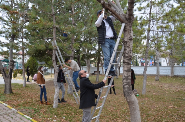 Kuşların yuvasını öğretmenler kurdu