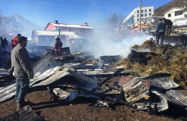 Artvin'de ahır yangını: 27 hayvan telef oldu