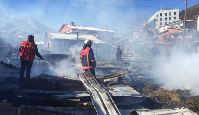 Artvin'de ahır yangını: 27 hayvan telef oldu
