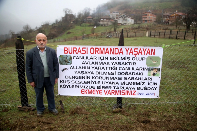 Kastamonu'da yıllardır atıl kalan tarlalar yaban hayvanları için ekildi