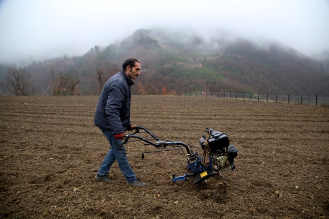 Kastamonu'da yıllardır atıl kalan tarlalar yaban hayvanları için ekildi