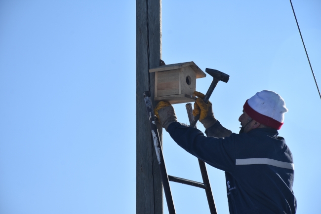 Kars'ta köylüler kuşların donmaması için mini yuvalar yaptı