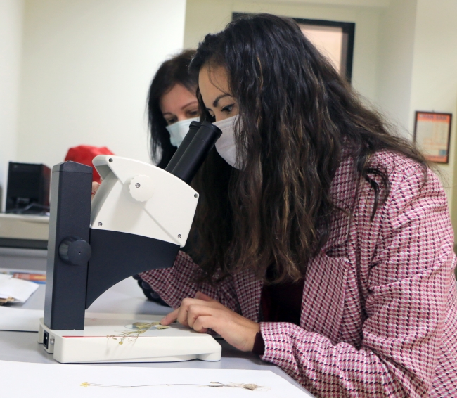 Tuz Gölü havzasında yeni bir bitki türü keşfedildi