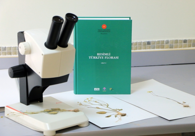 Tuz Gölü havzasında yeni bir bitki türü keşfedildi