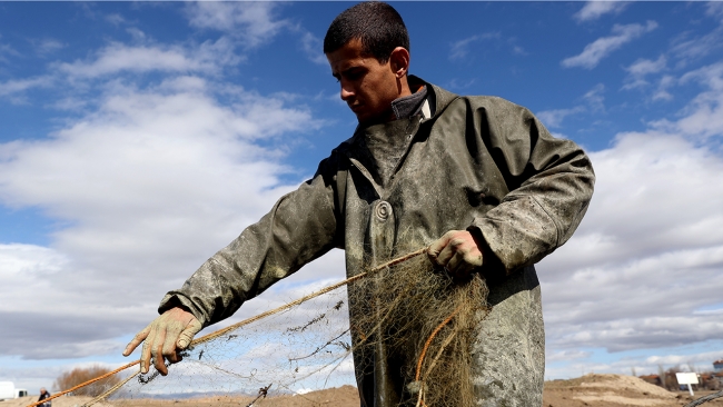 Tatlı su balıkçılarının zorlu kış mesaisi