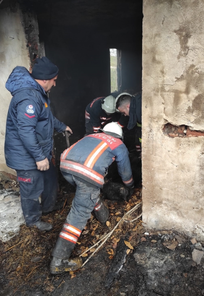 İki katlı ev yandı: 3 otomobil ve ahırdaki hayvanlar telef oldu