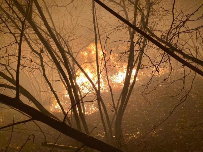 Düzce'de orman yangını