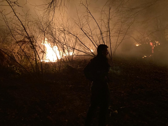 Düzce'de orman yangını