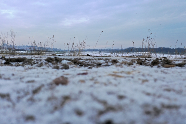 Edirne'de tarlalar buz tuttu