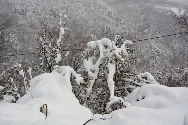 Kastamonu'da 5 ilçede elektrik kesintisi yaşanıyor