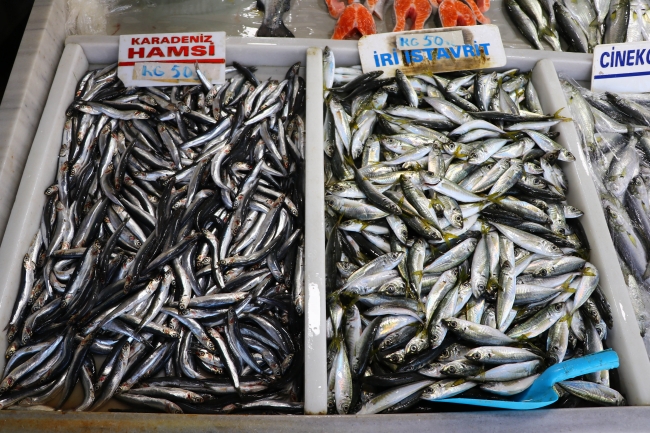 Deniz salyası balık tezgahlarındaki fiyatı artırdı