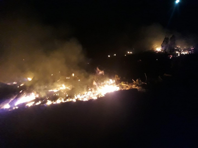 Mersin'de çıkan orman yangını söndürüldü