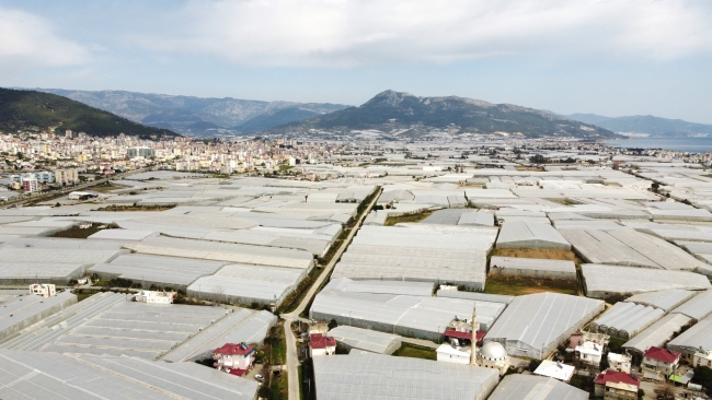 Devlet desteğiyle genişleyen seralarda üretim arttı