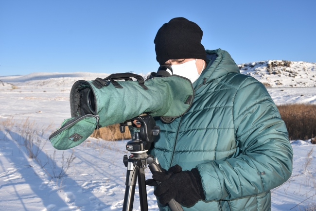 Çıldır Gölü'nde yeni bir kuş türü gözlemlendi: Sütlabi Ördeği