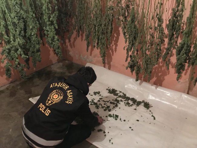 Evi seraya dönüştürerek uyuşturucu üretenler yakalandı