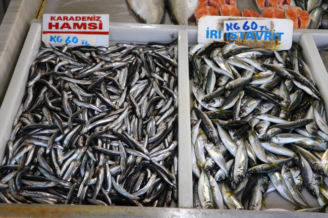 Deniz salyası hamsi ve istavritin fiyatını 60 liraya çıkardı