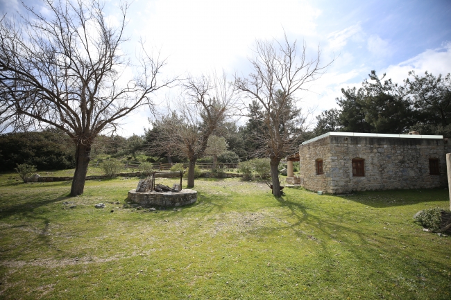 Pedasa Antik Kenti'ni de içine alan arazi satışa çıkarıldı