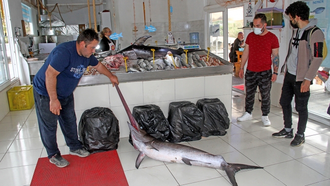 Fethiye açıklarında oltayla kılıçbalığı yakalandı