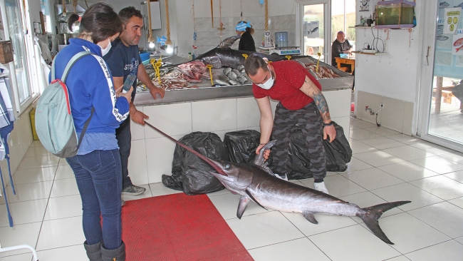 Fethiye açıklarında oltayla kılıçbalığı yakalandı