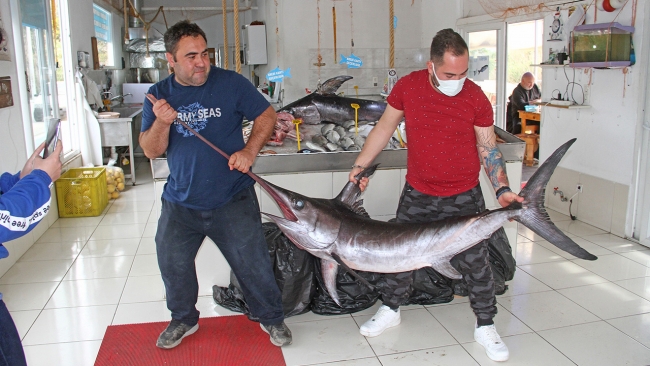 Fethiye açıklarında oltayla kılıçbalığı yakalandı