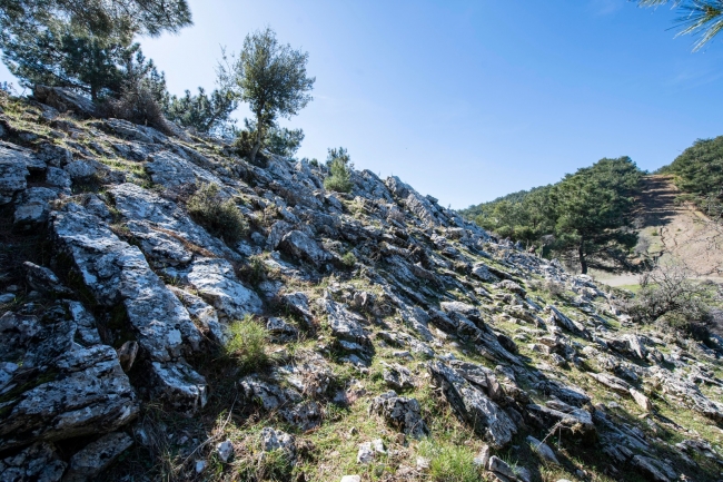 Helenistik ve Roma dönemlerinde kullanılan taş ocağı keşfedildi