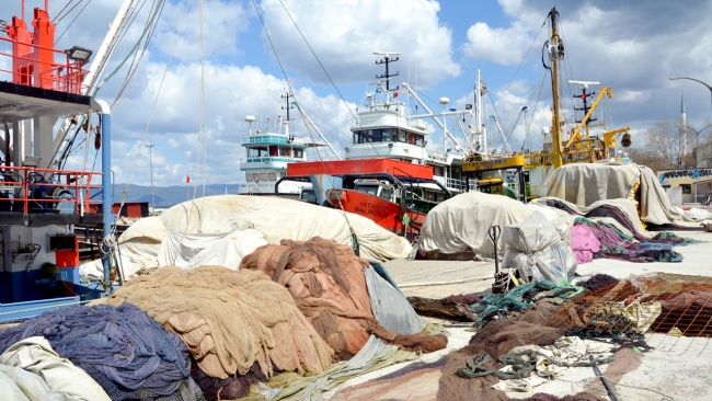 Kocaeli'de balıkçılar sezonu kapattı