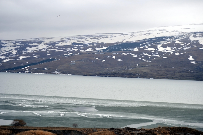 Baharın gelişiyle Çıldır Gölü'nü kaplayan buz erimeye başladı