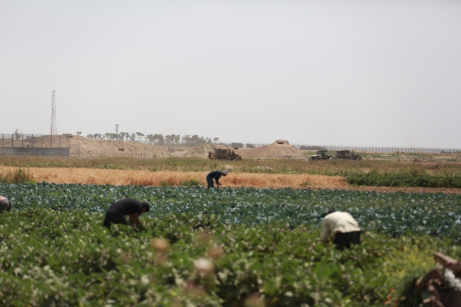 İsrail askeri araçları Filistinlilere ait arazileri tahrip etti
