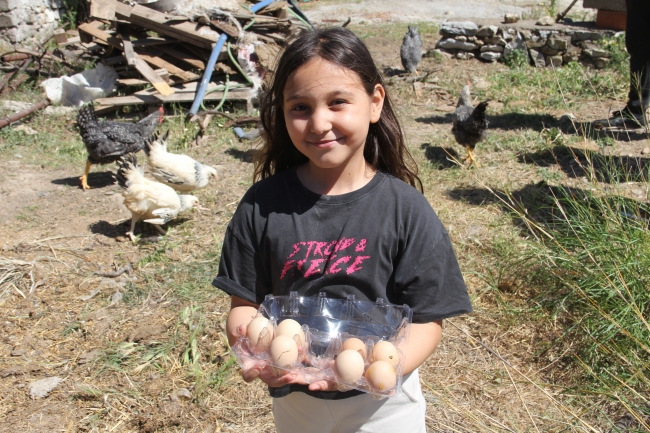 Harçlığıyla 20 civciv alan Lidya'nın 65 tavuğu oldu