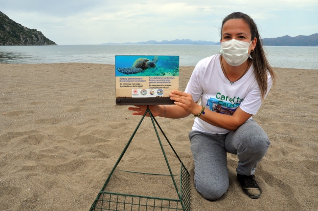 İztuzu sahiline caretta carettalar yumurta bırakmaya başladı