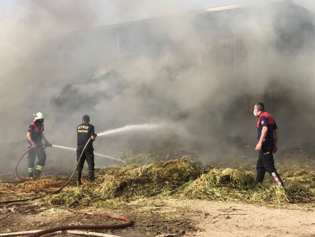 Aydın'da çiftlik yangını: 200 ton saman zarar gördü