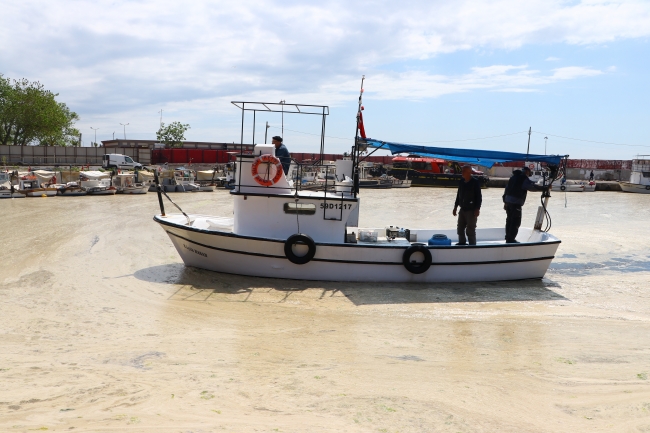 Tekirdağ'da tekne balıkçılarına "deniz salyası" engeli