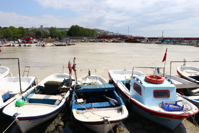 Tekirdağ'da tekne balıkçılarına "deniz salyası" engeli