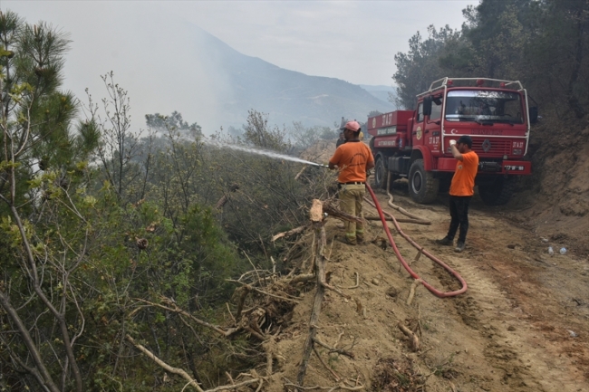 Sinop'ta orman yangını: Müdahale sürüyor