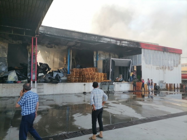 Aydın'da soğuk hava deposunda yangın