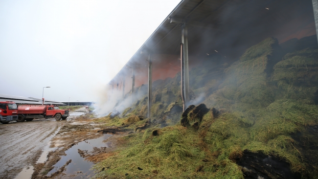 Kırklareli'nde hayvan çiftliğinde yangın