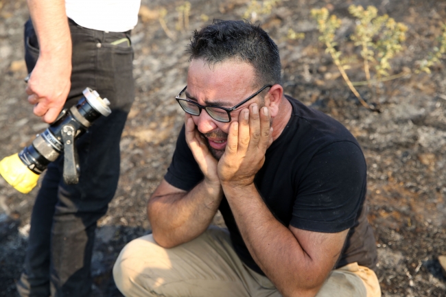 Aydın'da orman yangını: Yaklaşık 100 dönüm alan zarar gördü