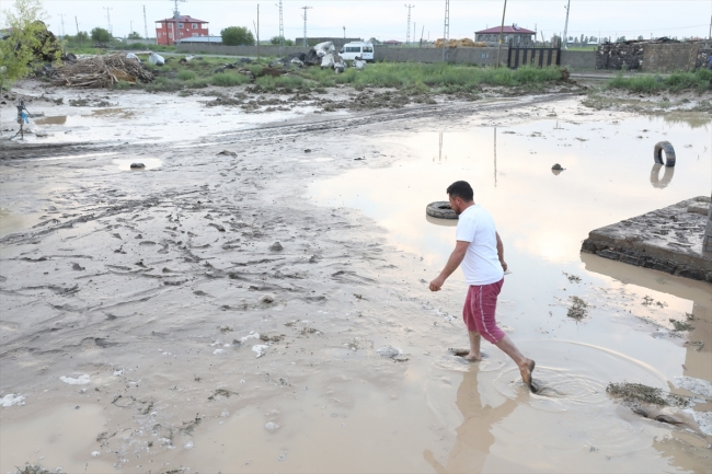 Iğdır'da sel: Bazı evleri su bastı, tarım arazileri zarar gördü