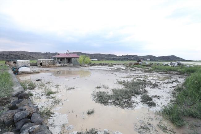 Iğdır'da sel: Bazı evleri su bastı, tarım arazileri zarar gördü