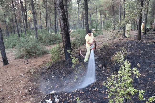 Denizli'de orman yangını