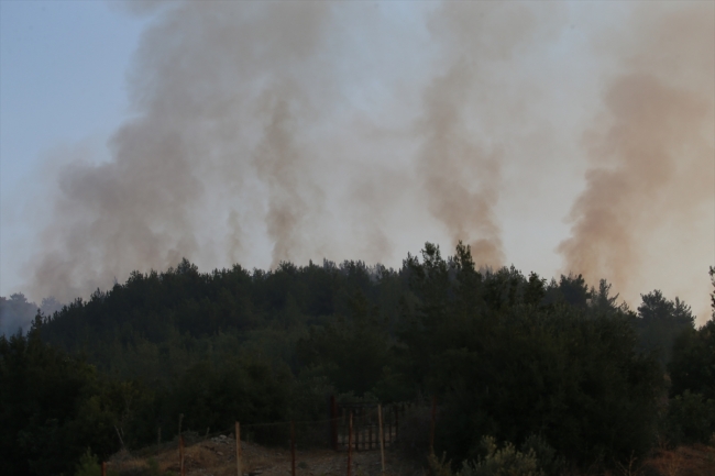 Mersin ve Hatay'da orman yangınları devam ediyor