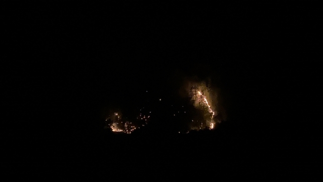 Gazipaşa'da orman yangını başladı