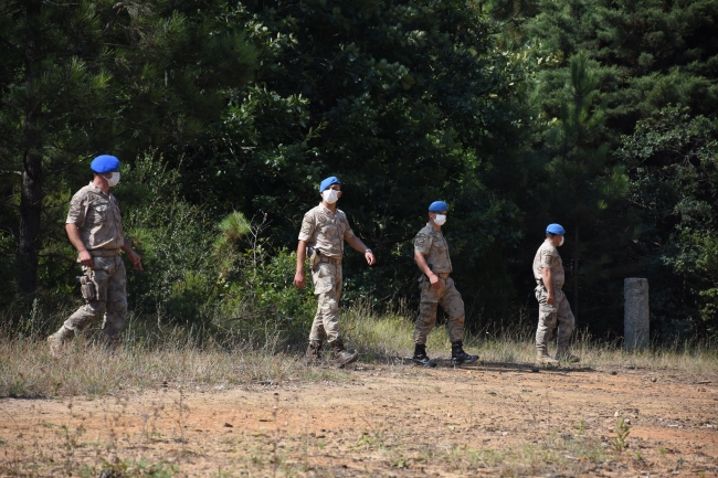 Mesire alanlarında piknik ve spor yapılabilecek