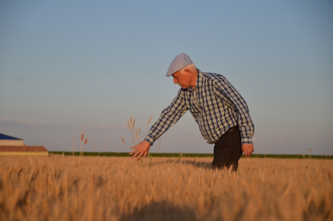 Konya'da birçok baraj, göl ve gölet dip seviyeleri gördü