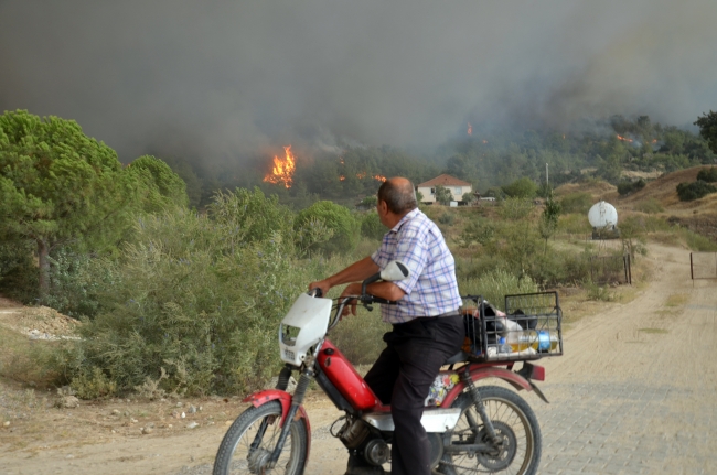 Aydın Çine'de orman yangını: İki mahalle tahliye edildi