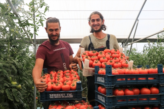 Orman mühendisi iki kardeşin 'modern çiftlik' hayali gerçeğe dönüştü